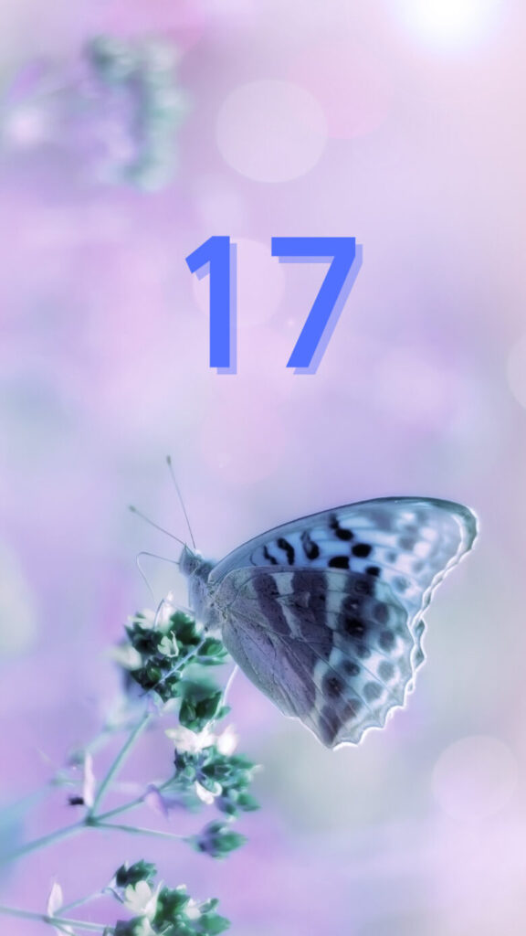 数字待ち受け 無料 – 数字の24 待ち受け 壁紙 – NSMM